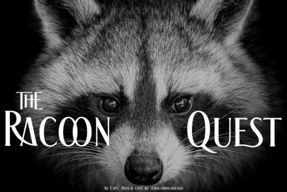 The Racoon Quest: A Display Font That Elevates Small Business Branding